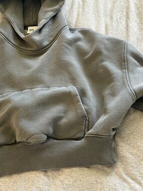 TNA Aritzia Cropped Hooded Sweatshirt in Gray. It’s a 2 which would be  a med